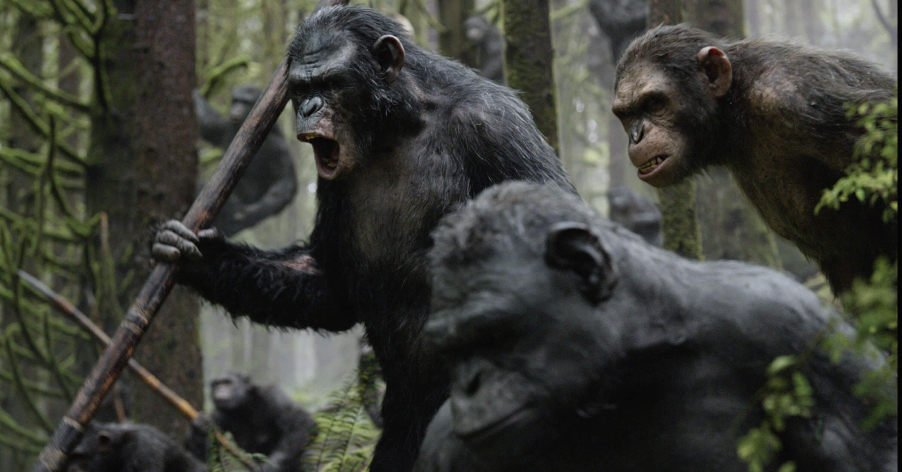 Dawn Of The Planet Of The Apes Wallpaper Group , HD Wallpaper