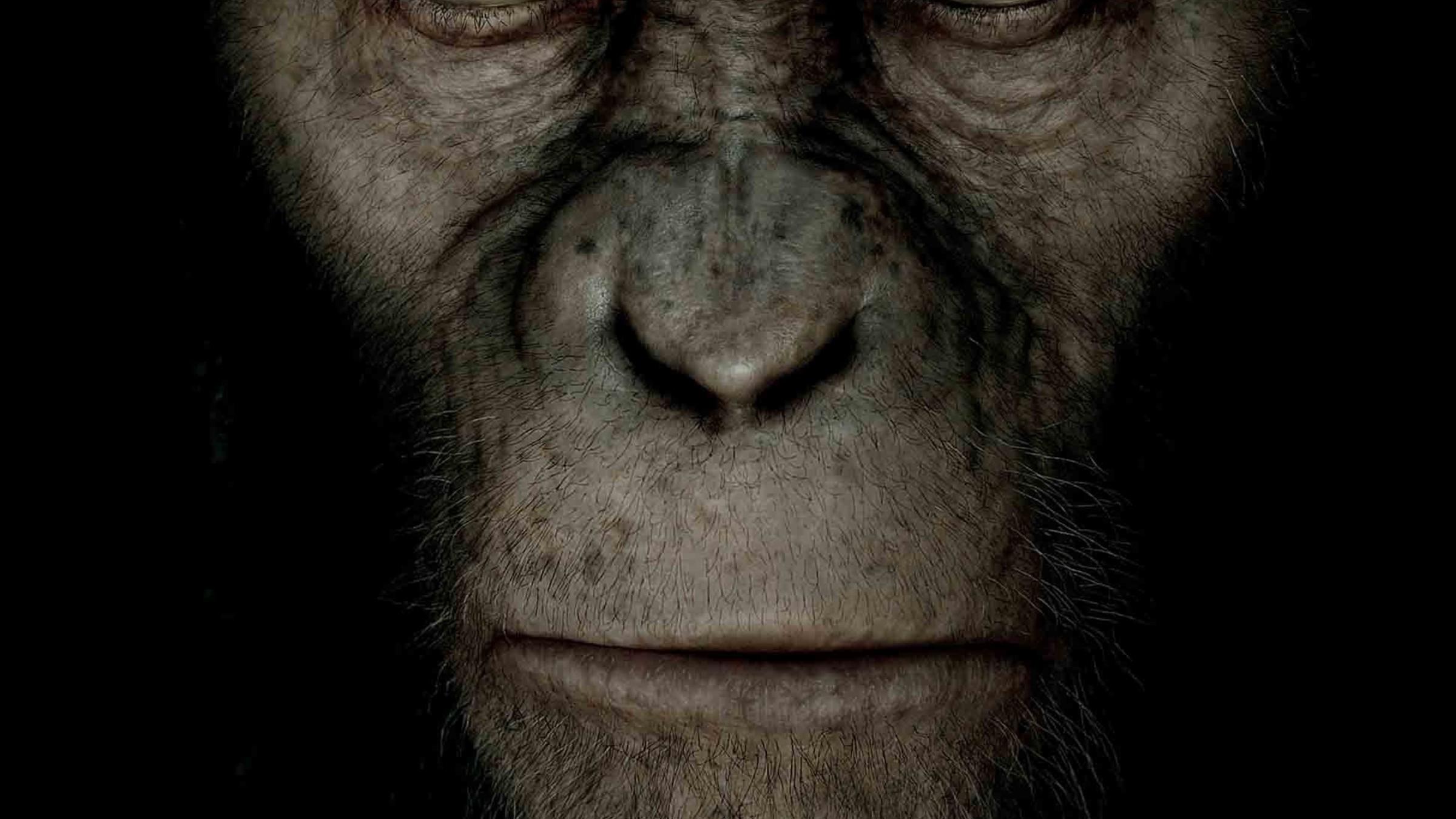 Rise of the planet apes animals wallpaper