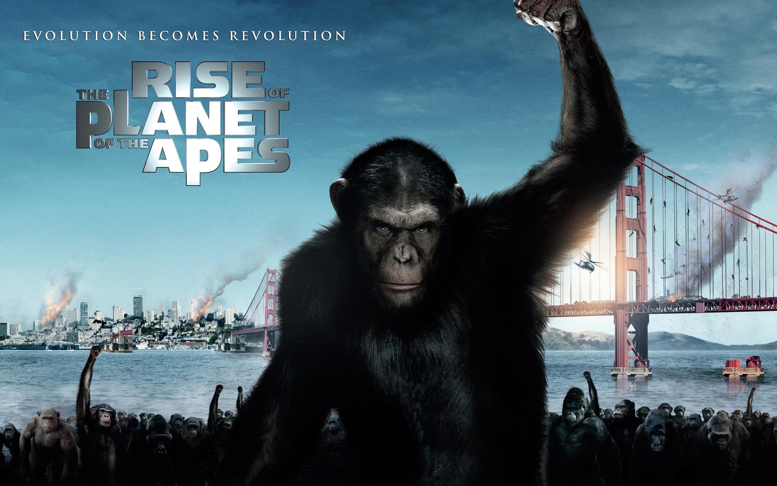 Rise of the Planet of the Apes Wallpaper