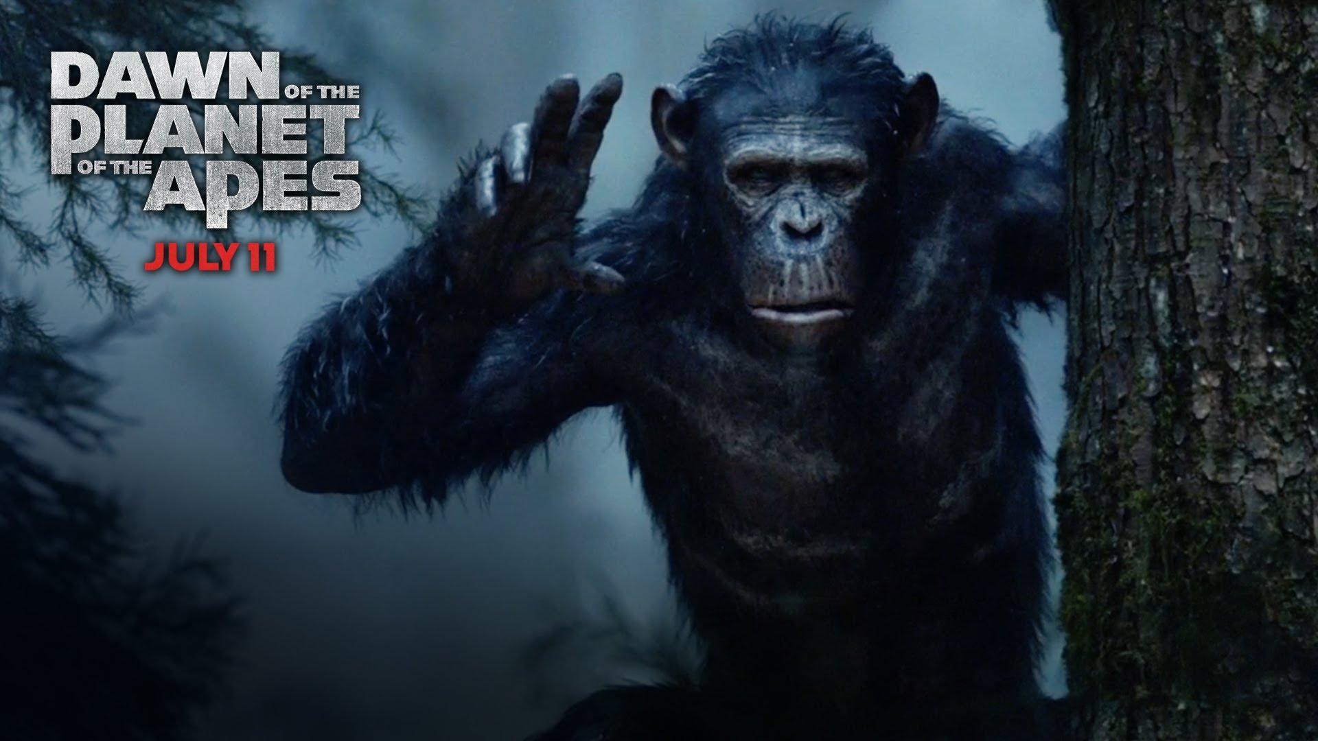 Dawn of the Planet of the Apes wallpaper 5