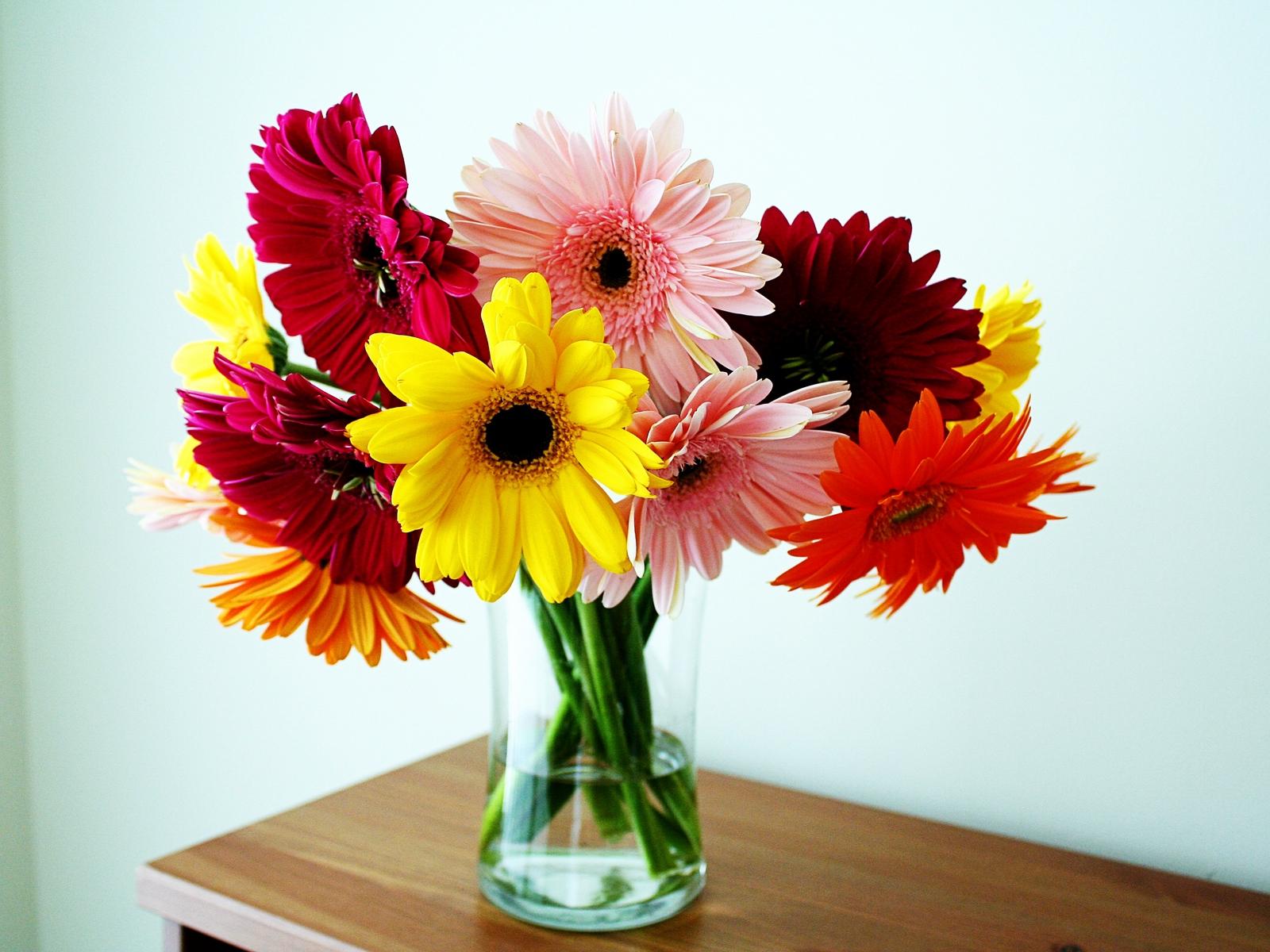 Gerbera Flower Vase Table Wallpaper, Picture, image