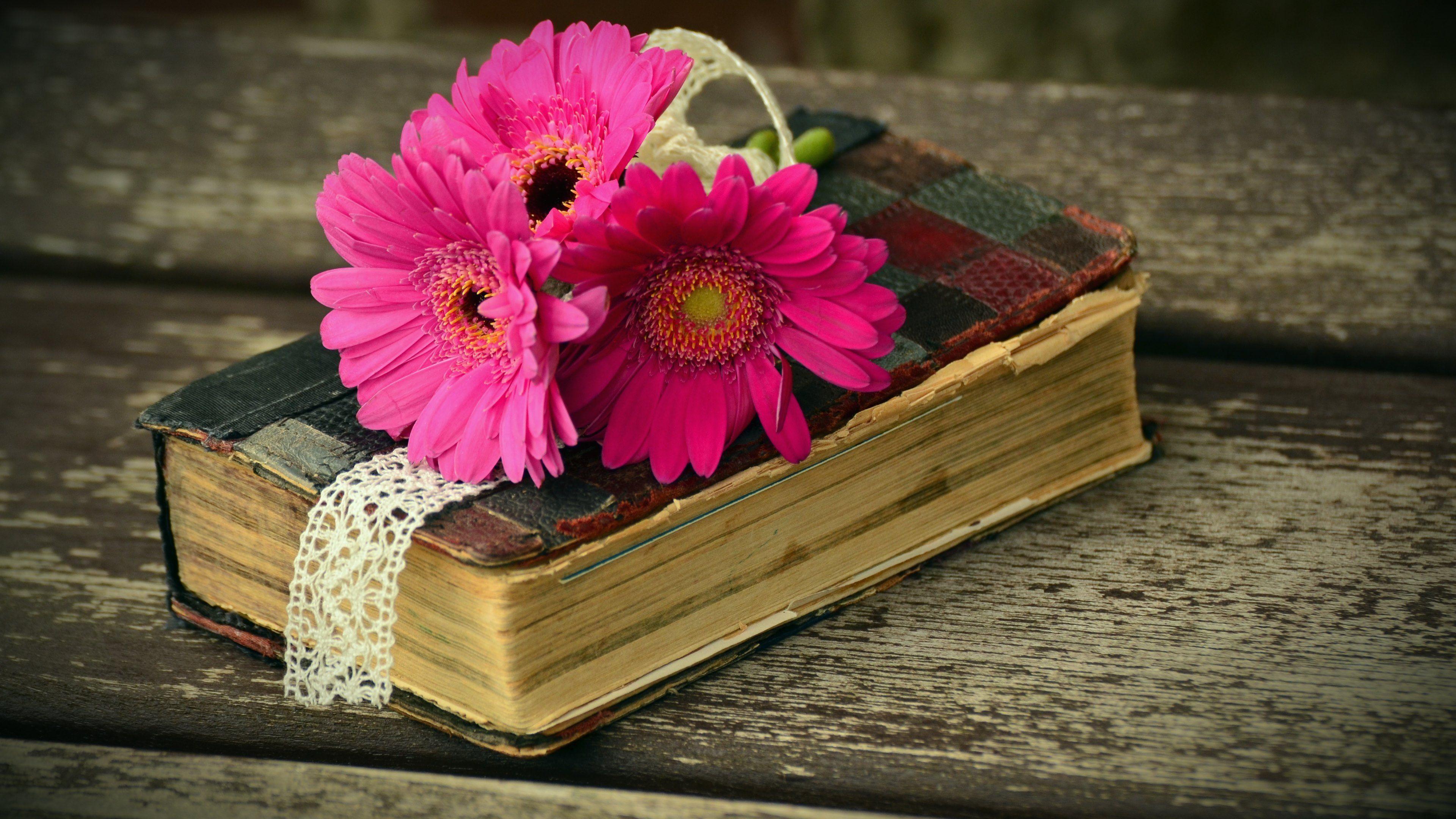 Old Book and Gerbera Flowers Wallpaper · 4K HD Desktop. Books