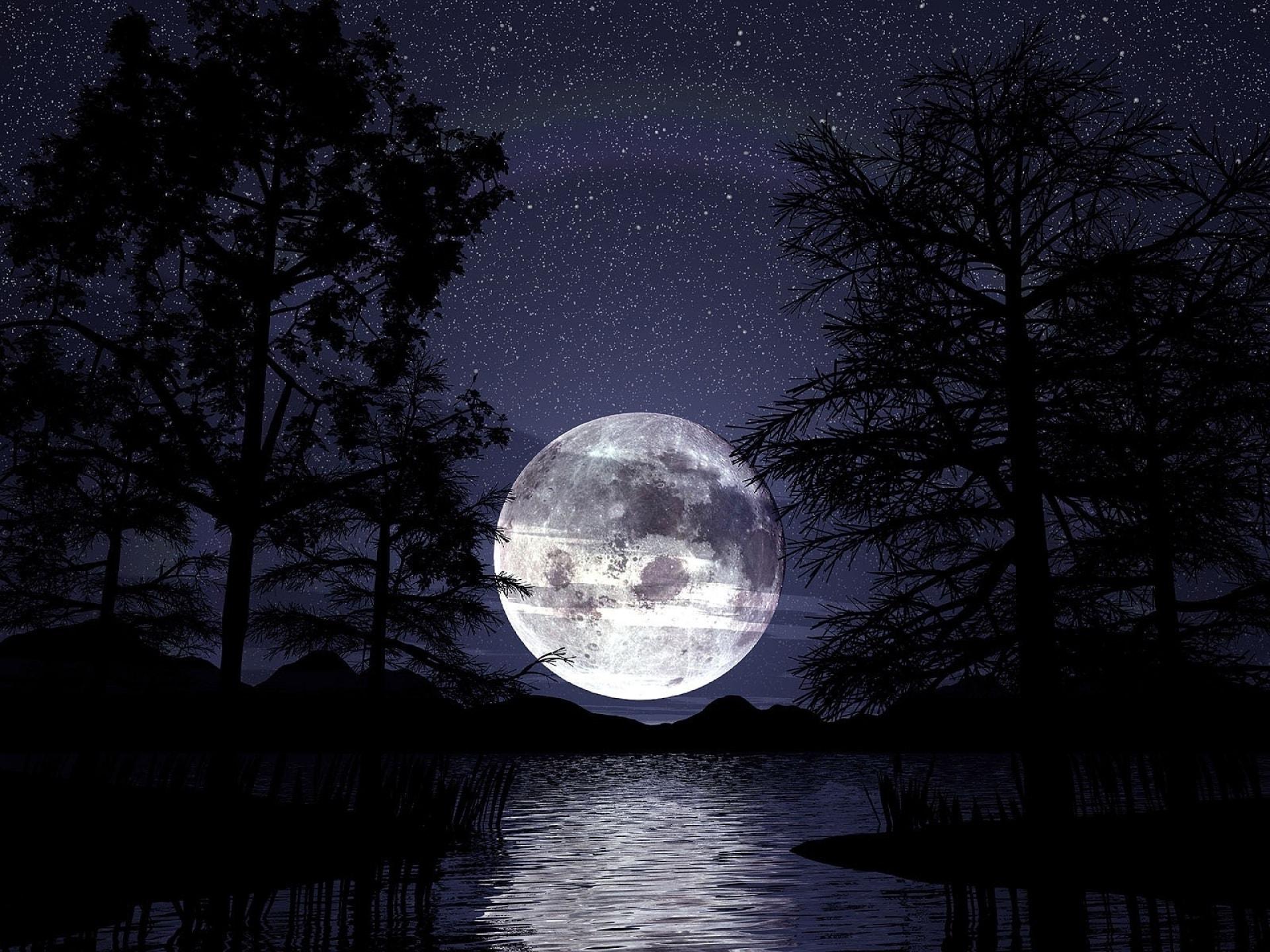 Wallpaper of Artistic, Lake, Moon, Night, Silhouette, Sky, Tree