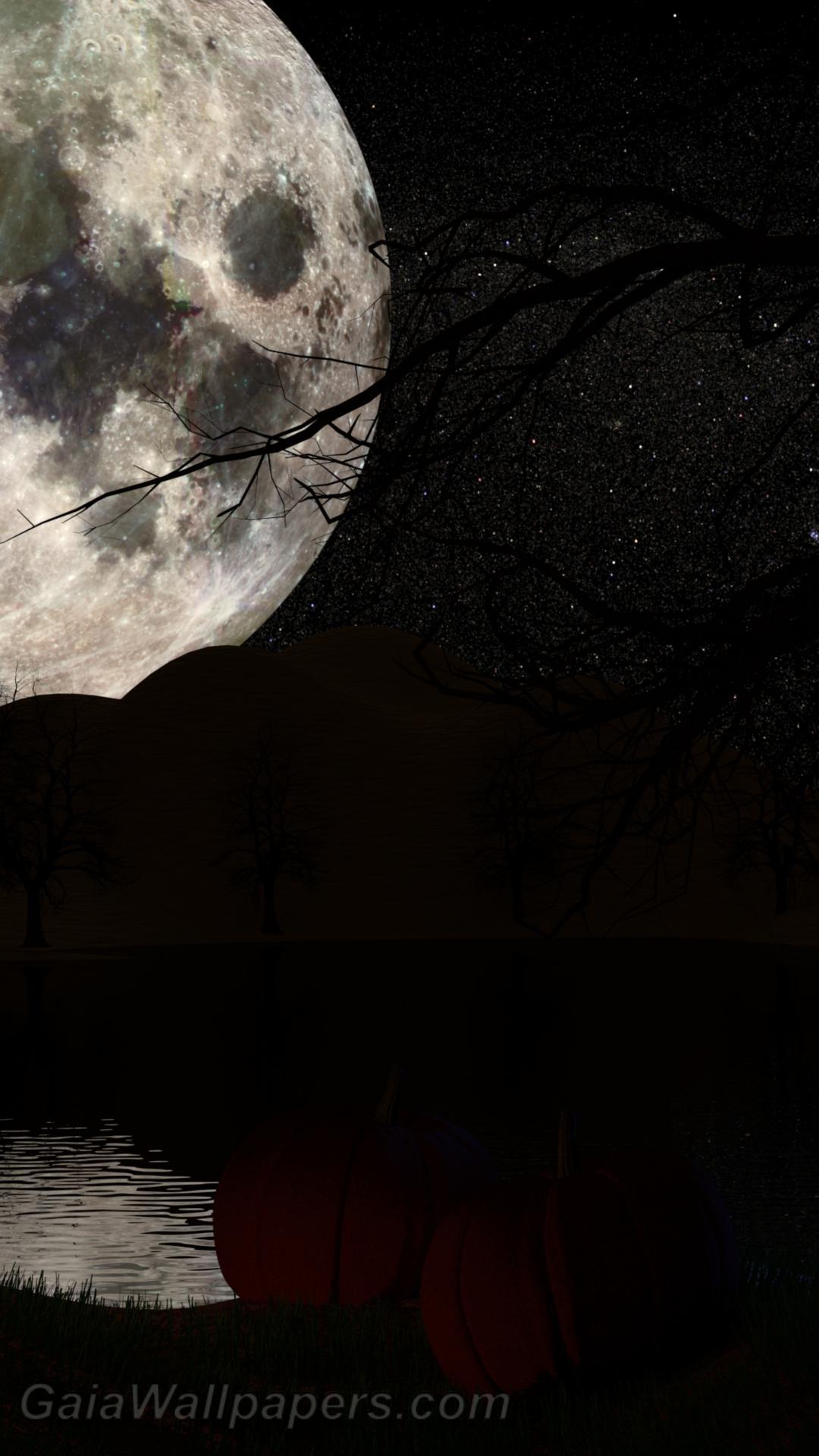 Full moon over Pumpkin Lake wallpaper 1080x1920 Desktop