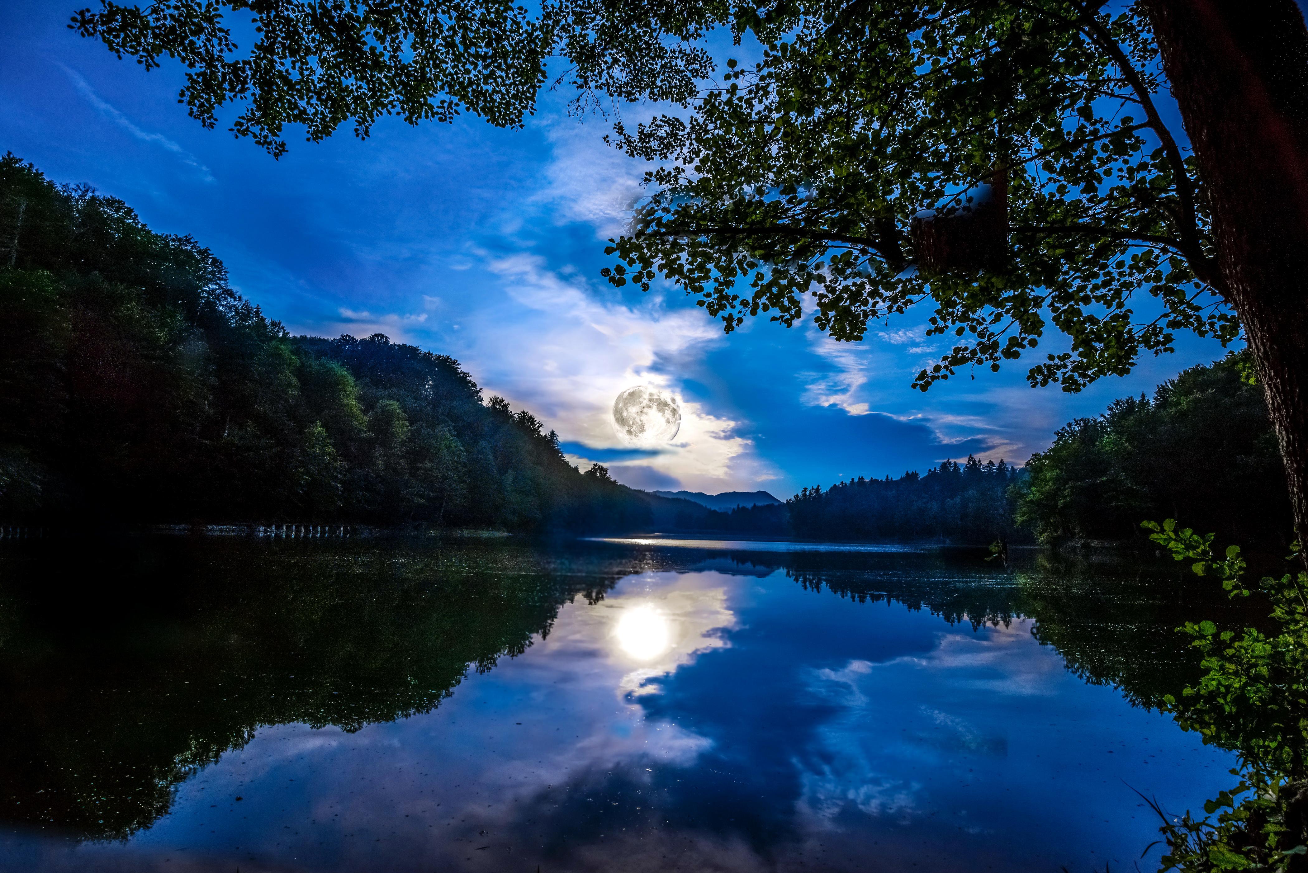 #Forest, K, #Full Moon, #Reflections, #Lake. Nature