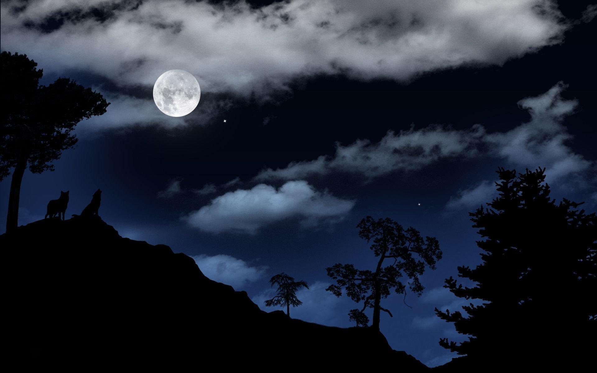 The moon over the lake, image new, top background