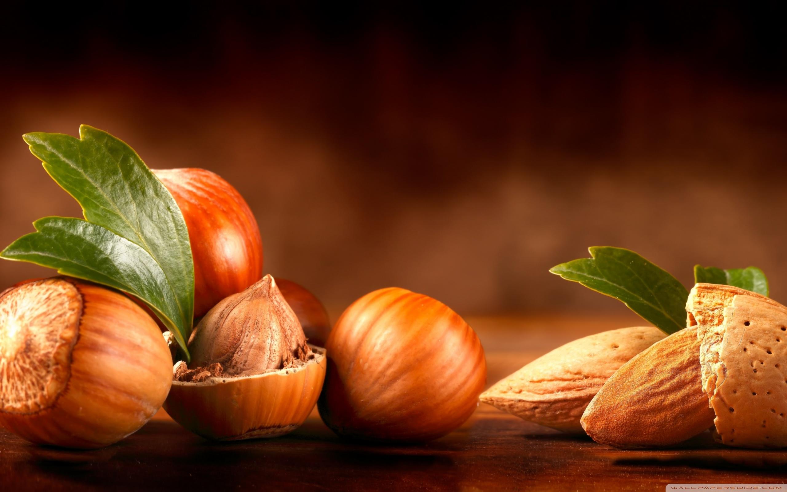 Almond Leaves Nuts ❤ 4K HD Desktop Wallpaper for 4K Ultra HD TV