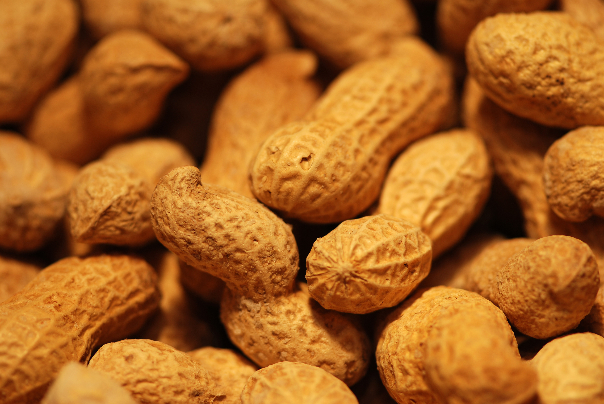 Download Wallpaper peanut food nut desktop wallpaper Other GoodWPcom