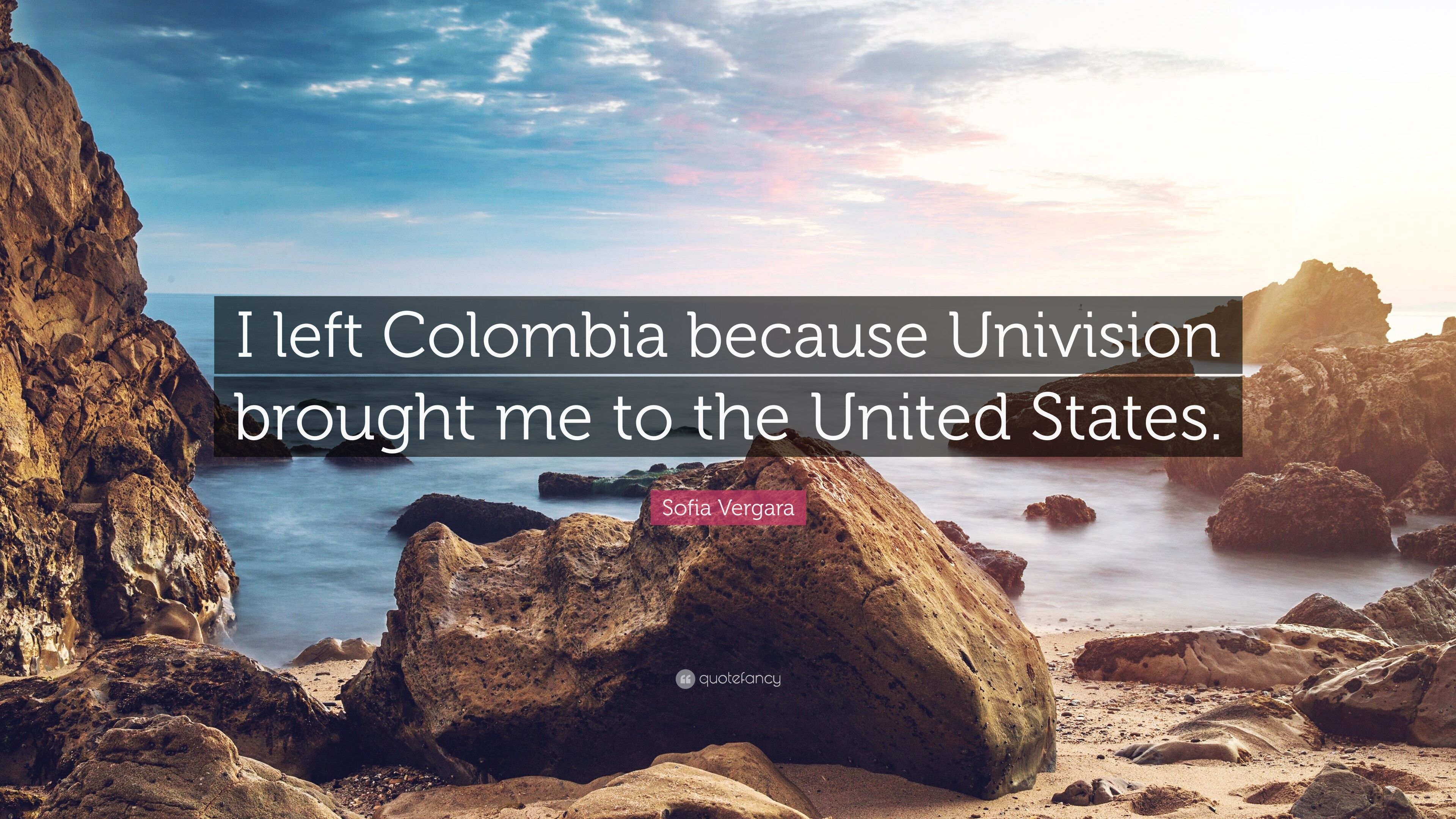 Sofia Vergara Quote: “I left Colombia because Univision brought me
