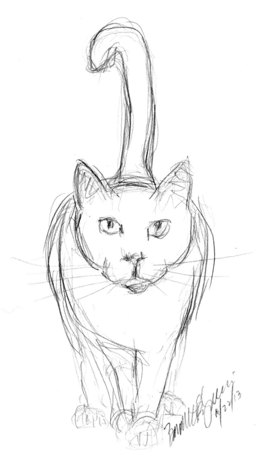 Easy Cat Drawings In Pencil