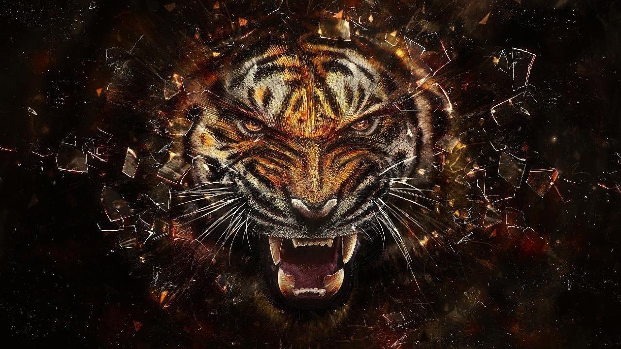 3D Tiger Roaring HD WallpaperD HD Wallpaper. Tiger