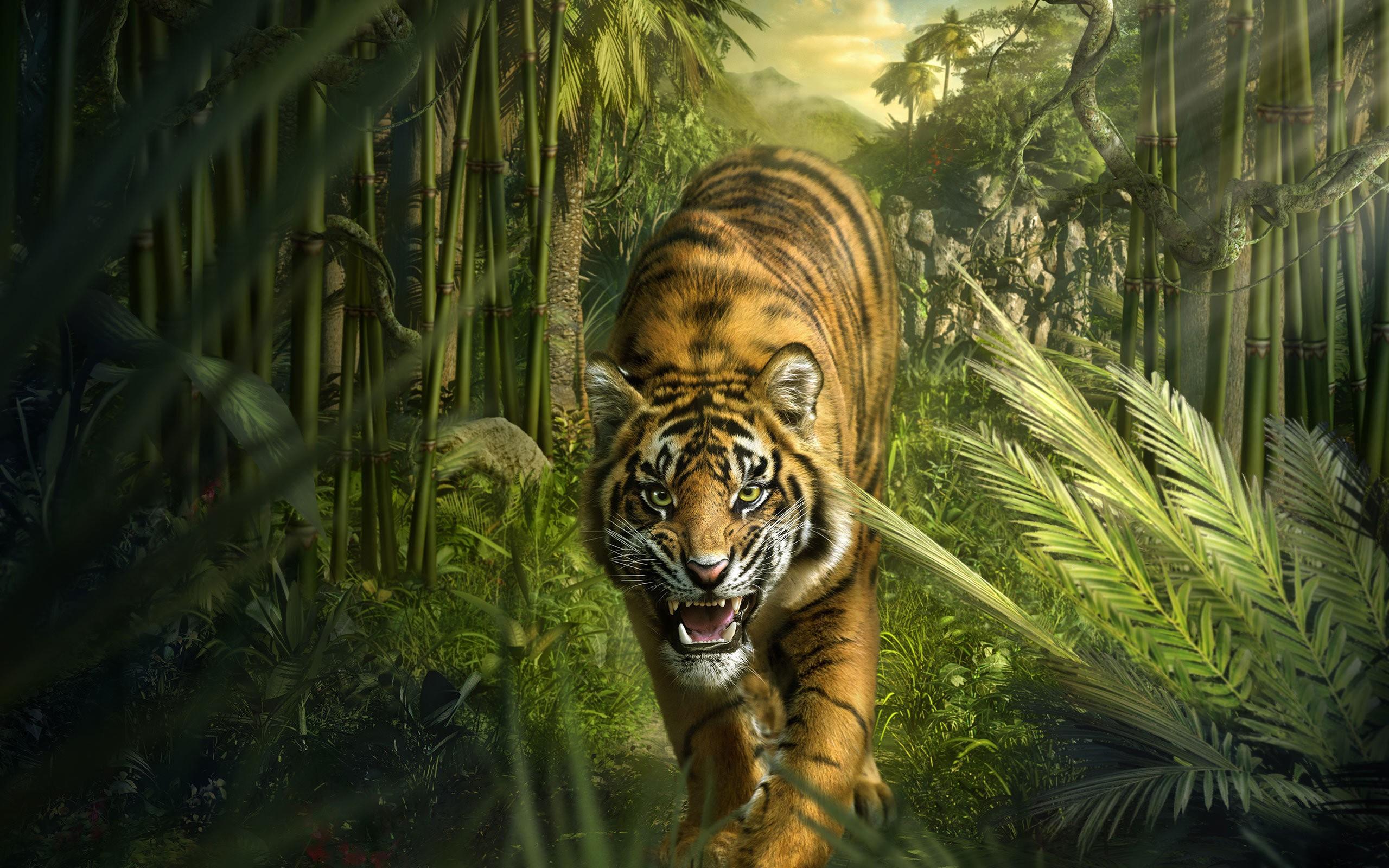 Tiger Roaring Wallpapers - Wallpaper Cave