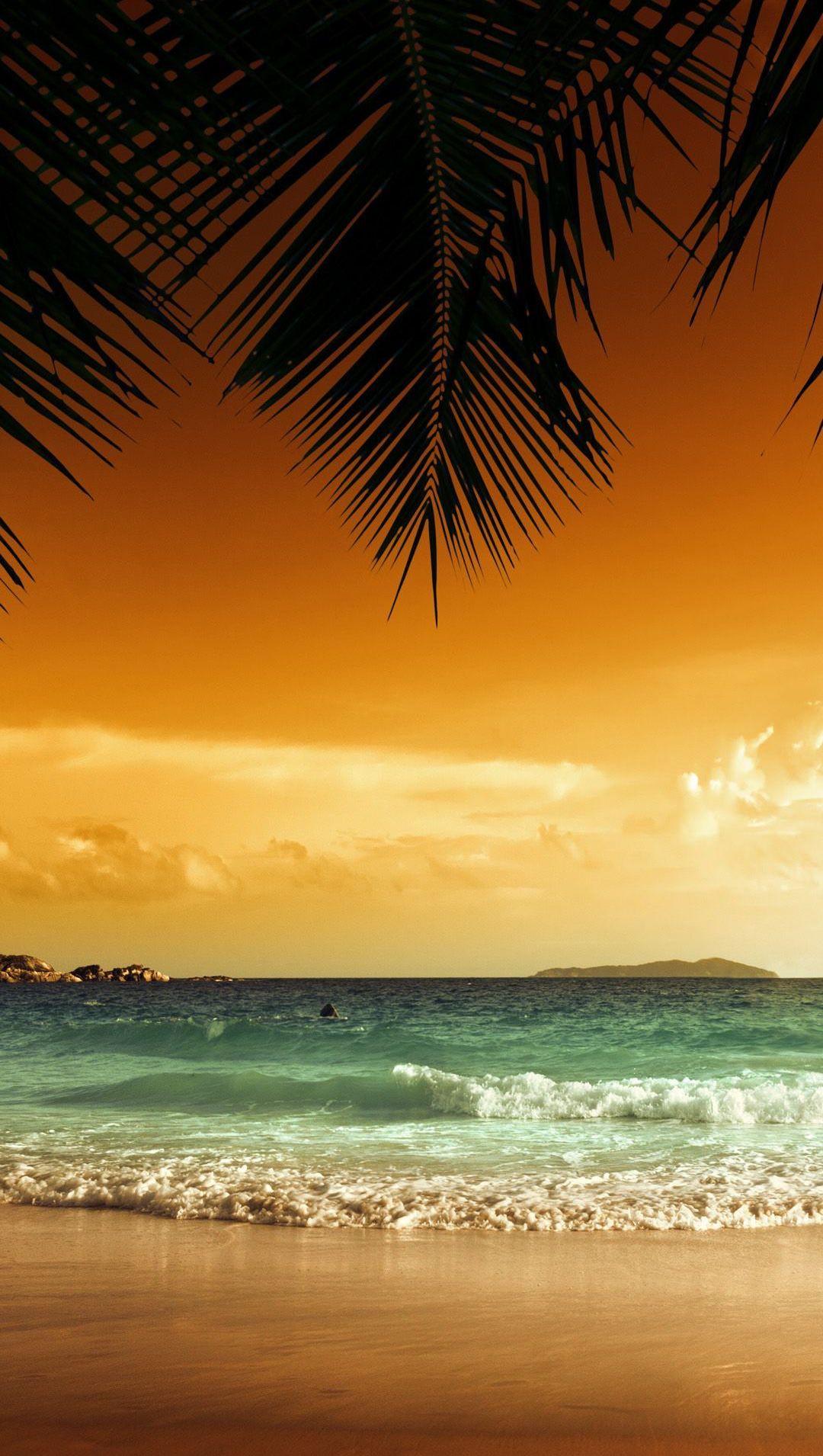 Download Serene Apple Beach At Sunset Wallpaper  Wallpaperscom