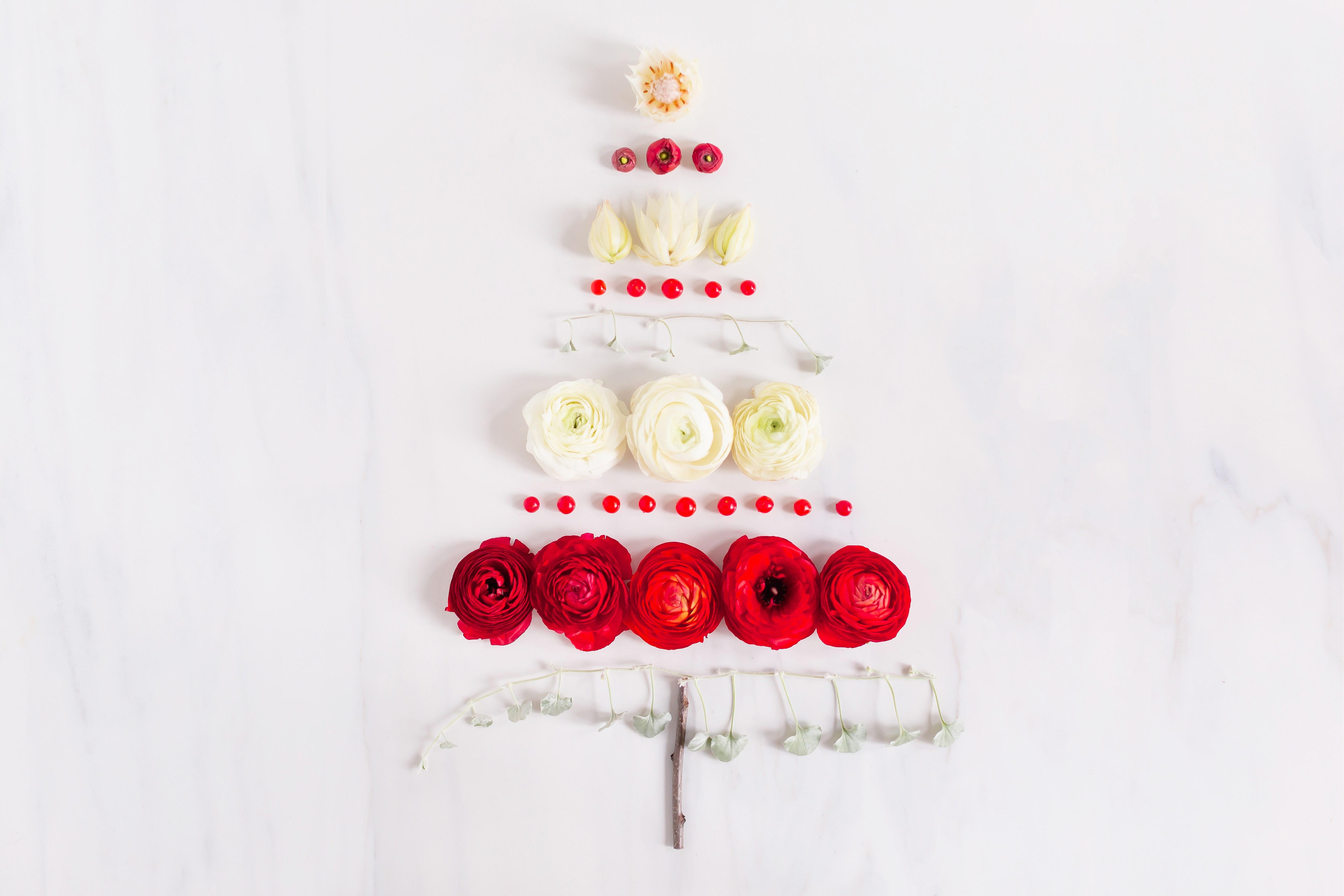 DIGITAL BLOOMS DECEMBER 2018. FREE DESKTOP WALLPAPERS