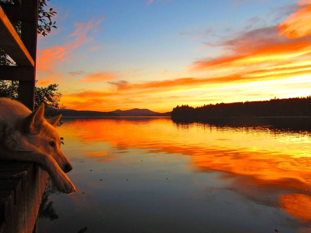 What Is Summer Evening. Find Your World