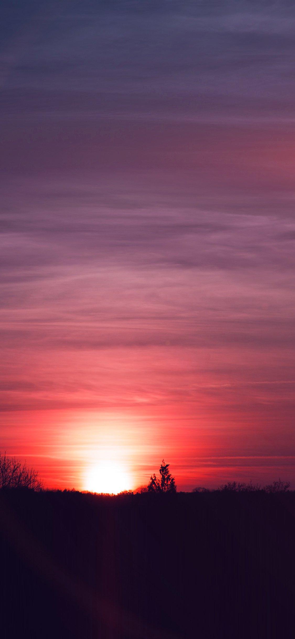 Sky sunset night summer cloud iPhone X Wallpaper Download. iPhone