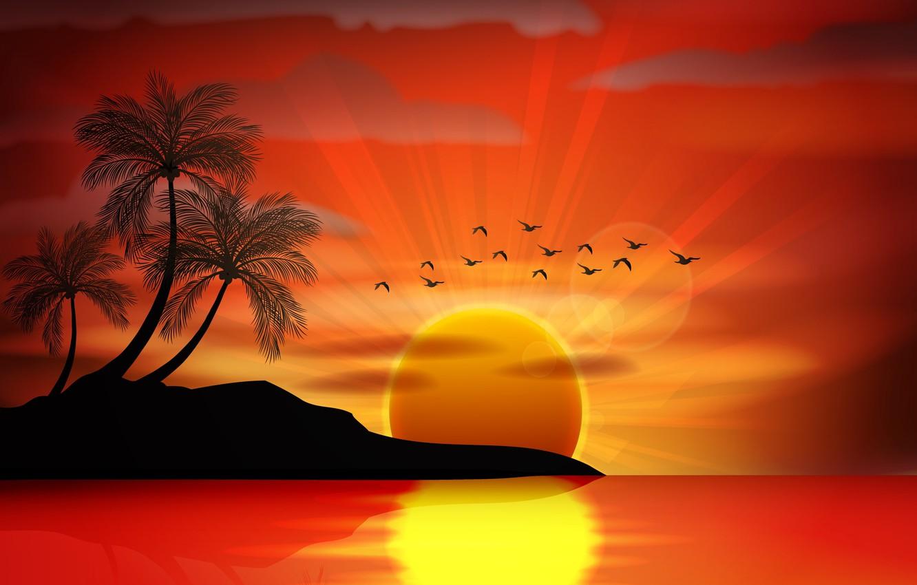 Wallpaper sea, sunset, birds, palm trees, vector, island
