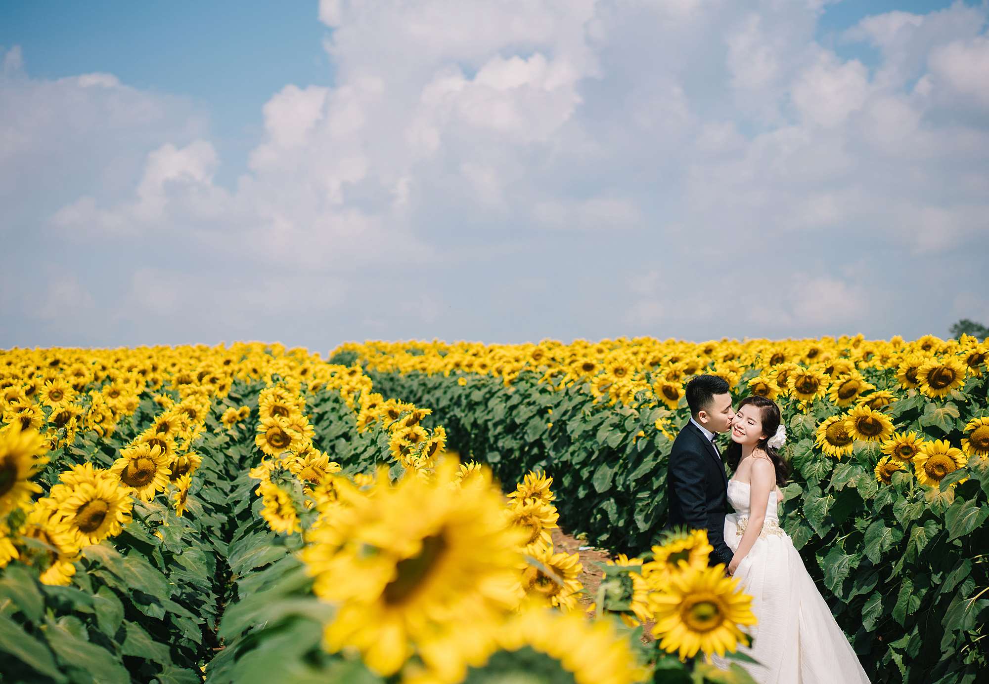 beautiful flowers, blue sky, bride and groom, couple, flower