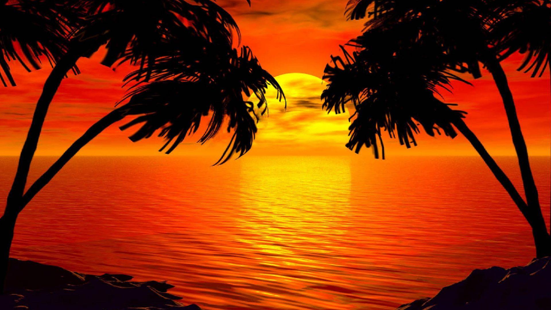 Paradise Sunset Tropical Island Palm Sea Red Sky HD Wallpaper