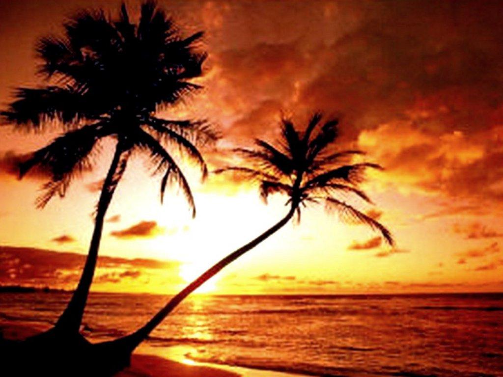 Tropical Island Paradise Sunset HD Wallpaper, Background Image
