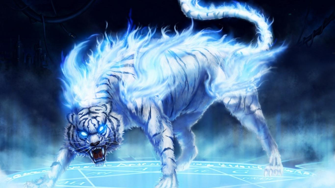 Free Download Wallpaper HD, white tiger, beautiful tiger, hd tiger