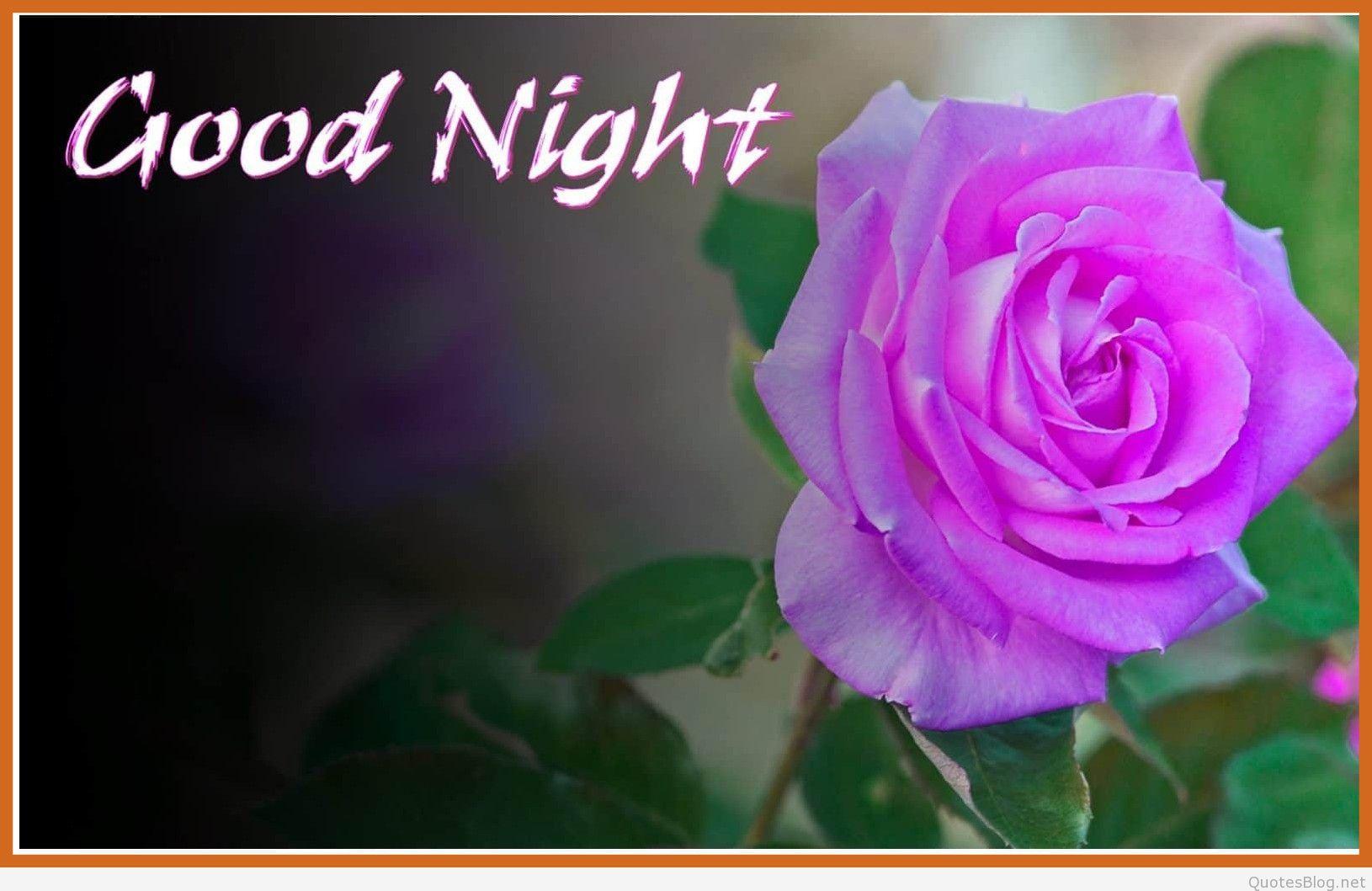 Good Night Rose Image and Message