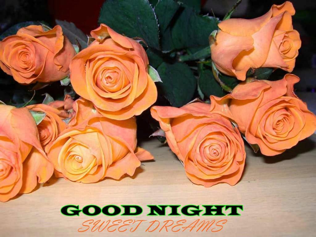 good night wallpaper with rose