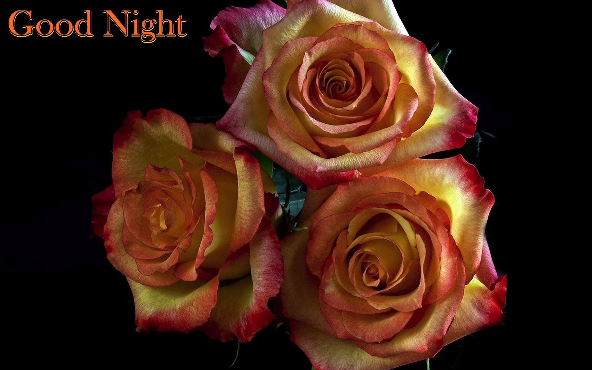 Rose Flowers Good Night Wallpaper