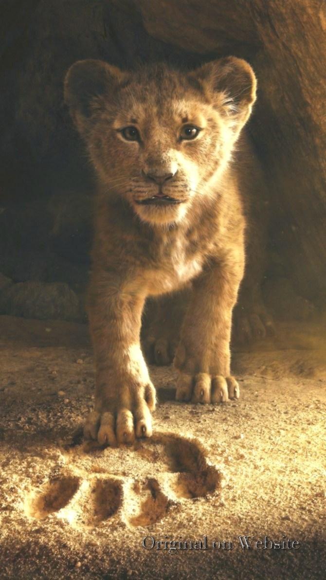 Lion King 2019 Wallpaper