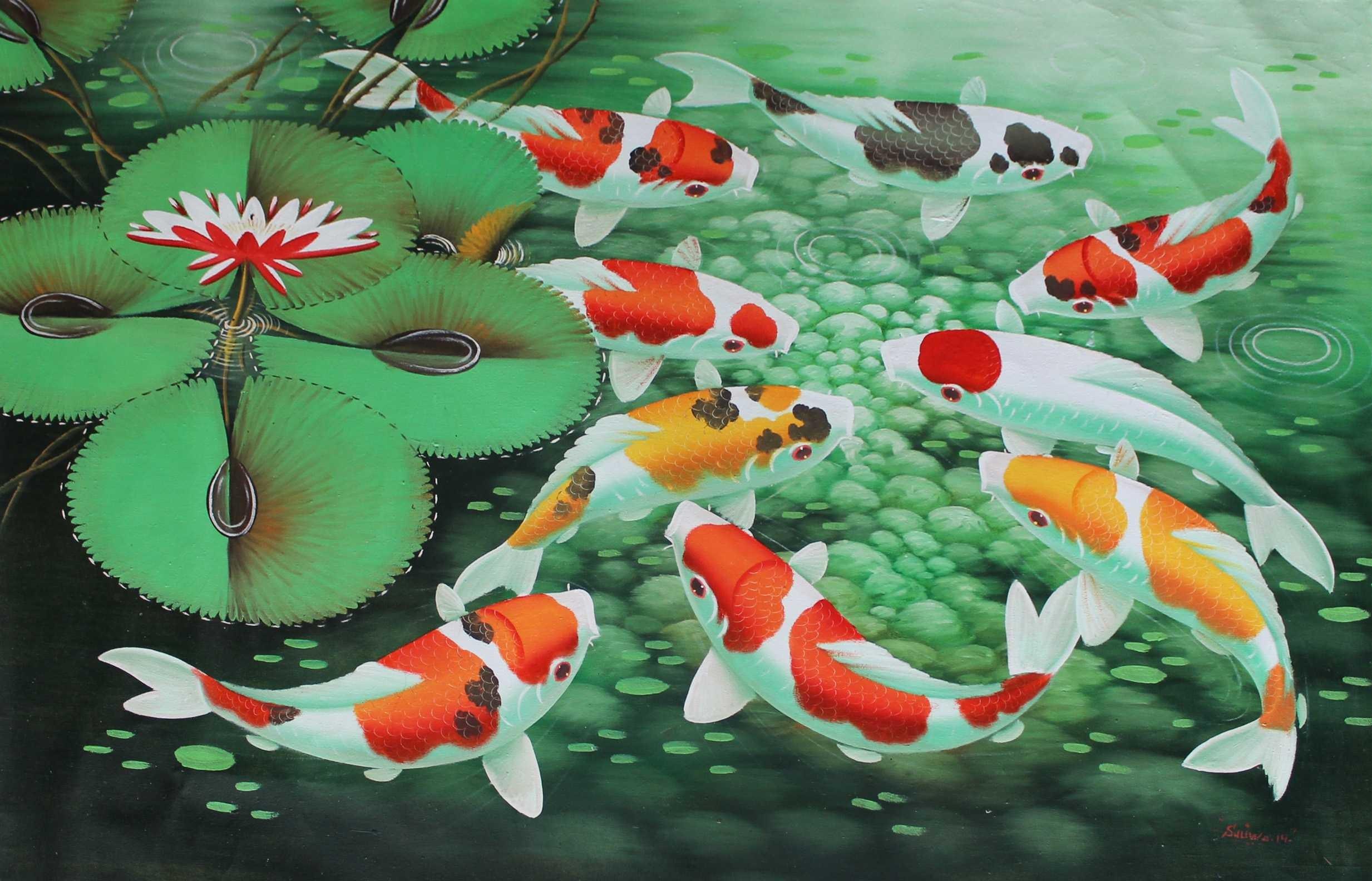 Koi Fish Wallpaper background picture