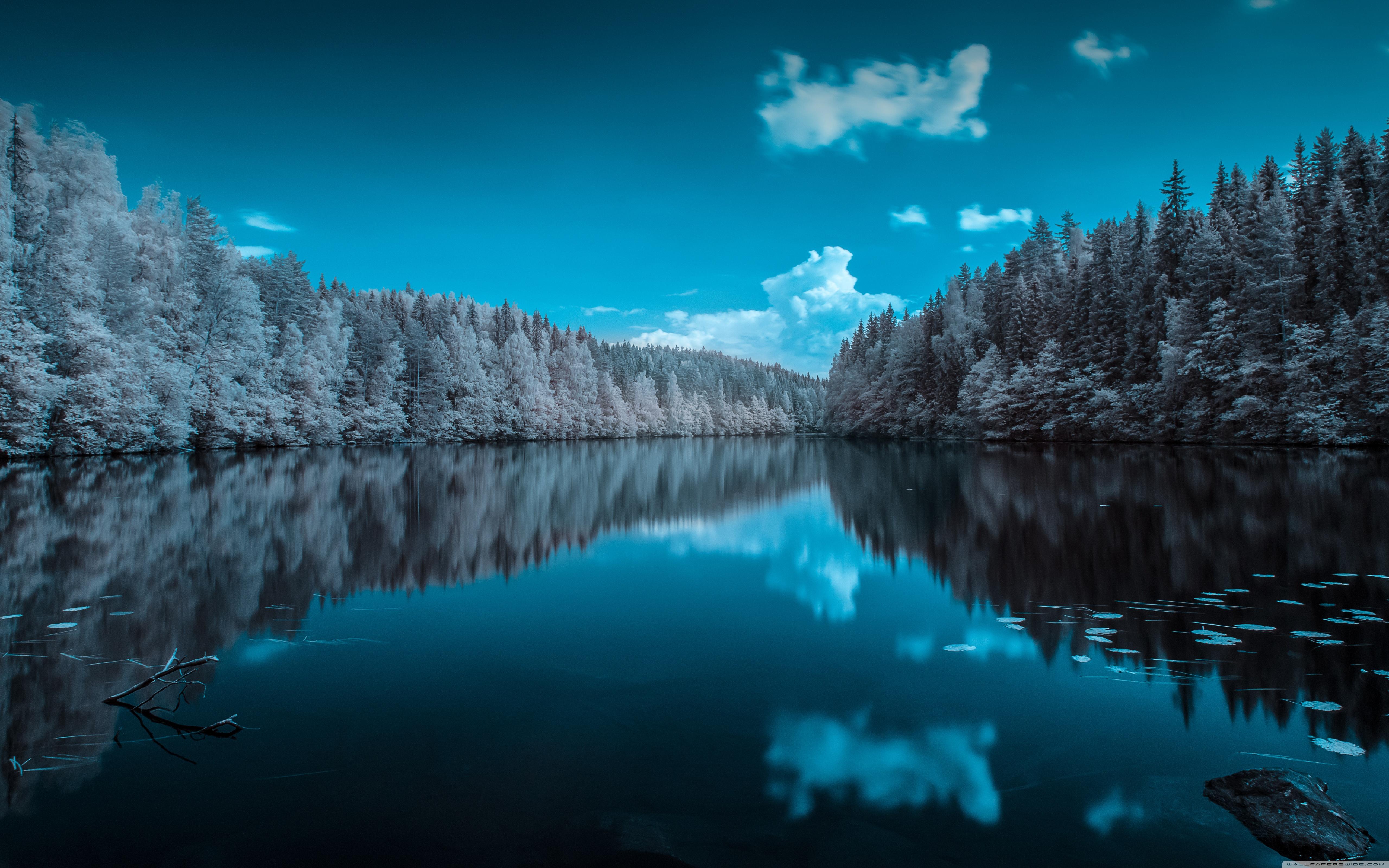 Finland Forest Lake ❤ 4K HD Desktop Wallpaper for 4K Ultra HD TV