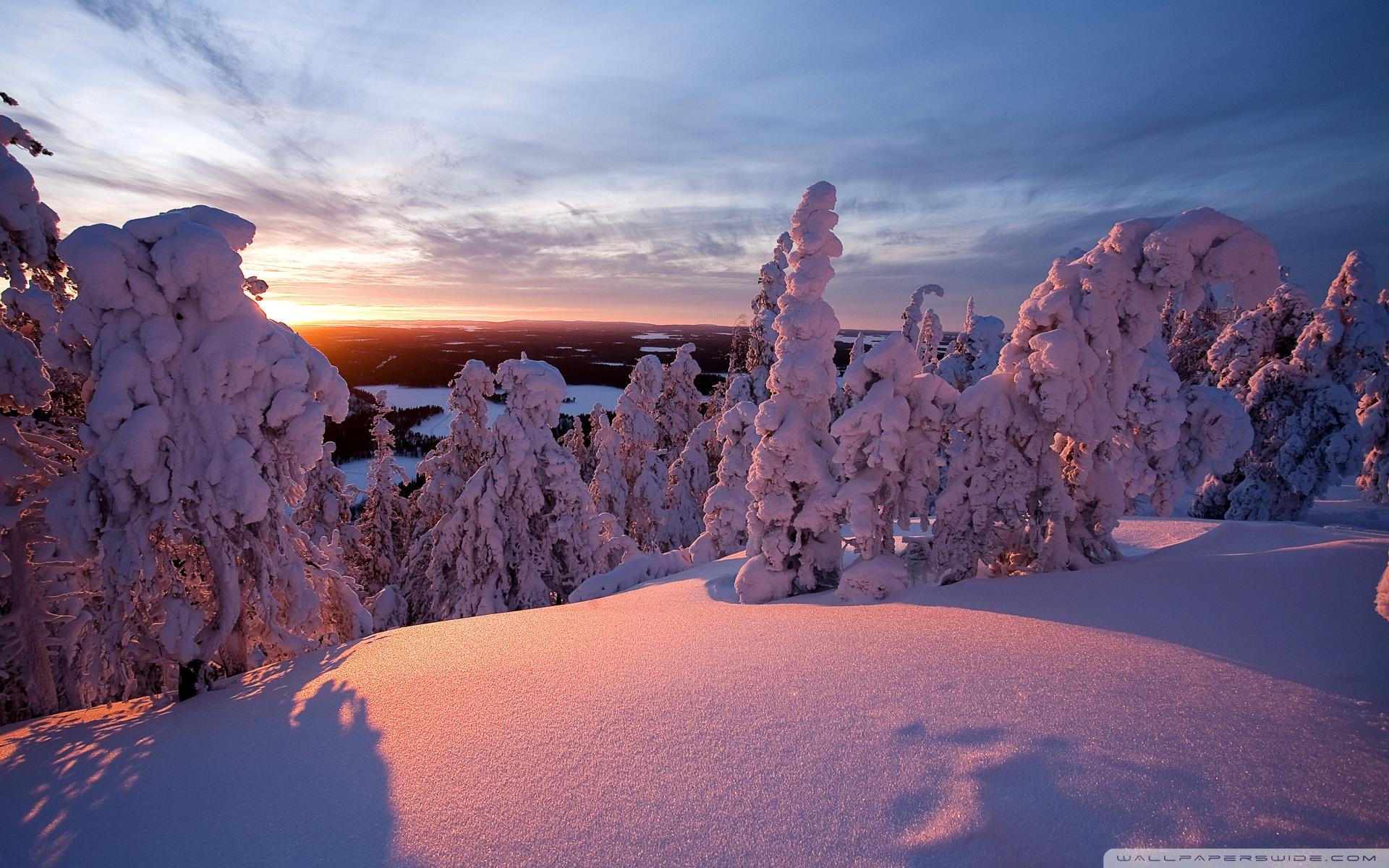 Winter, Lapland, Finland Ultra HD Desktop Background Wallpaper