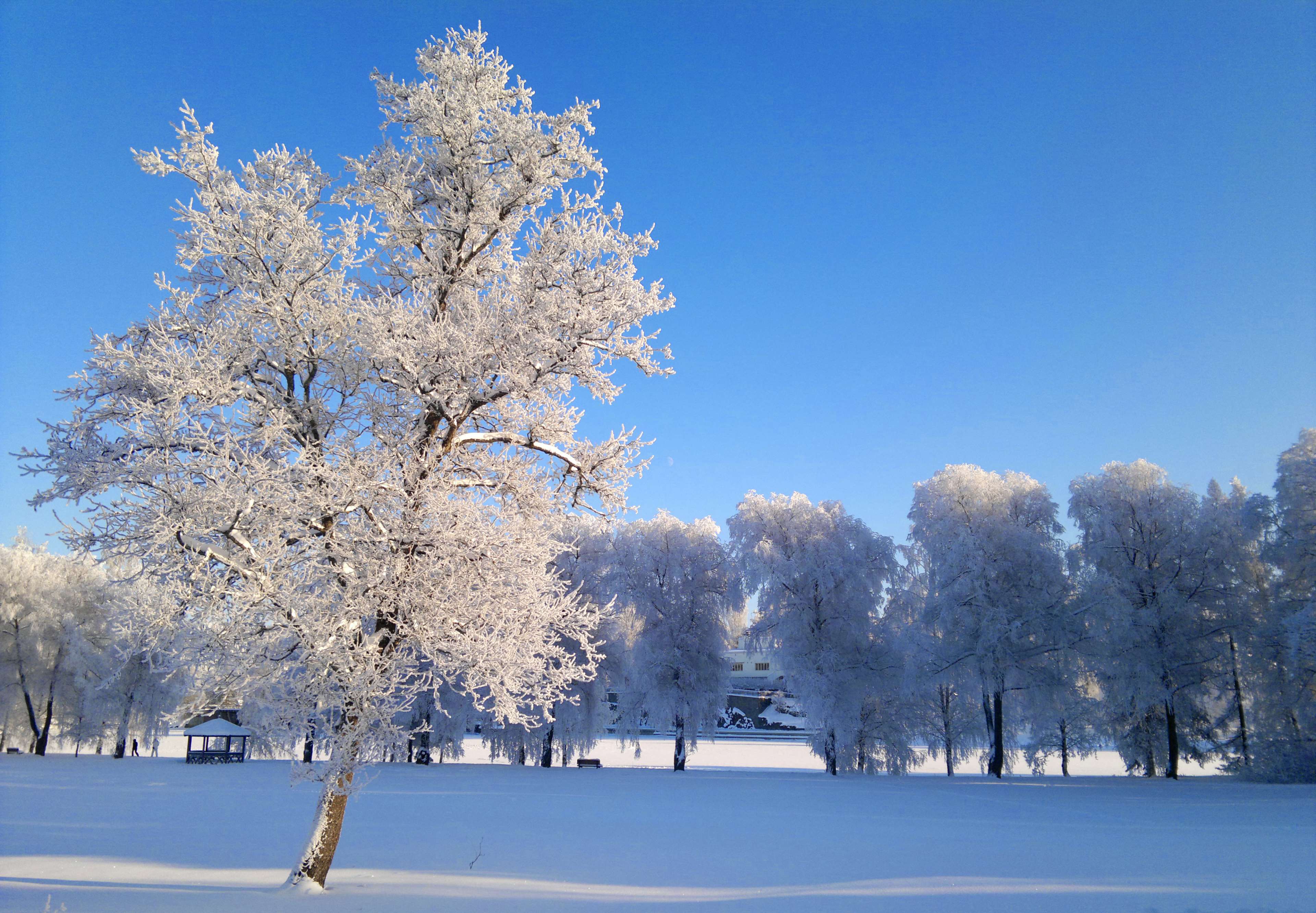 finland, freeze, frost, january, minus degrees, sub zero