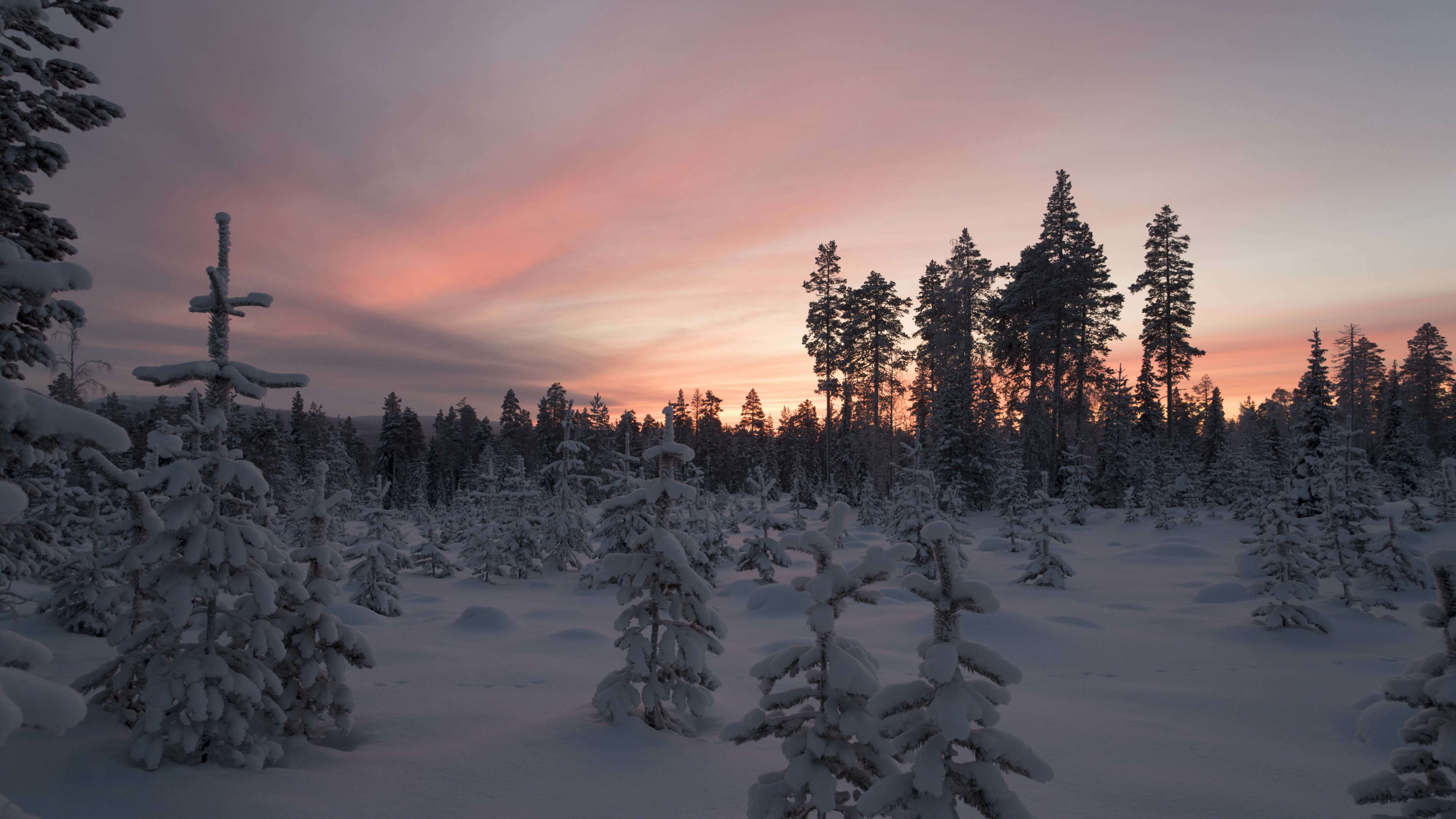 Winter, Freezing, Landscape, Finland, Snow 4K Ultra HD Wallpaper