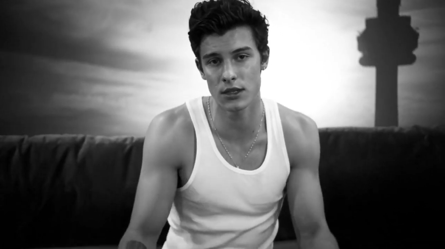 Watch the New Shawn Mendes Video Right Now
