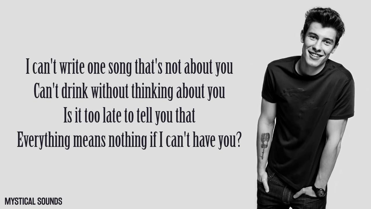 Shawn Mendes I Can't Have You (Lyrics)