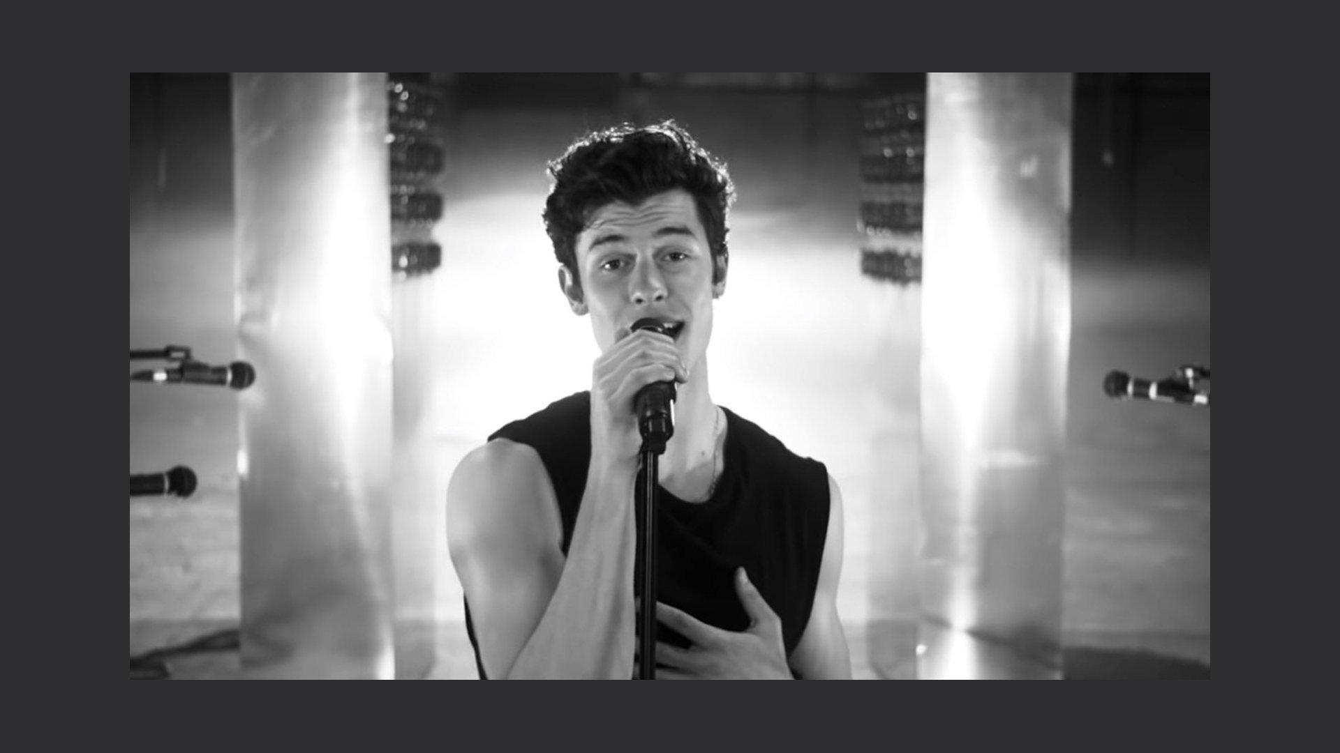 Shawn Mendes I Can't Have You