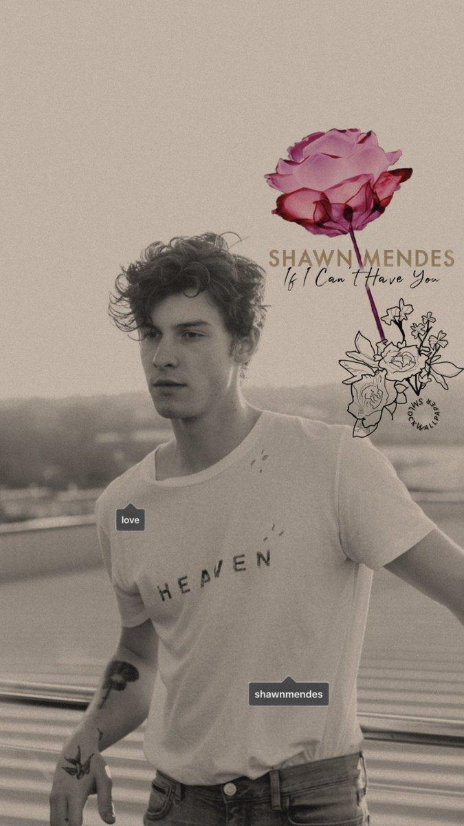 Shawn Mendes If I Can T Have You Wallpapers Wallpaper Cave