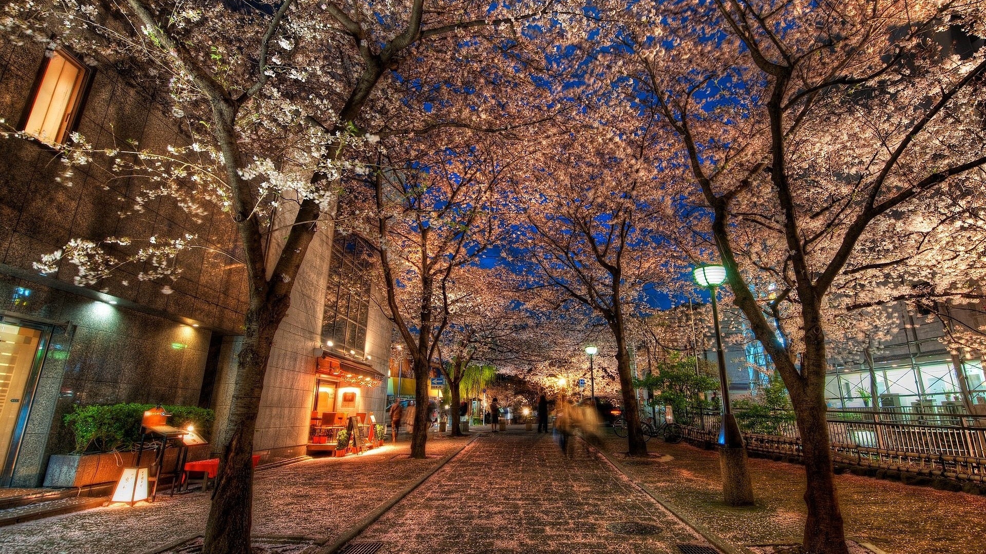 Download wallpaper 1920x1080 city, alley, trees, night, park, hdr