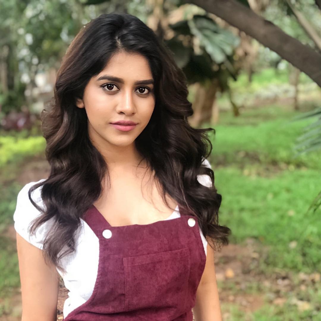 Nabha Natesh Height, Age, Boyfriend, Family, Biography