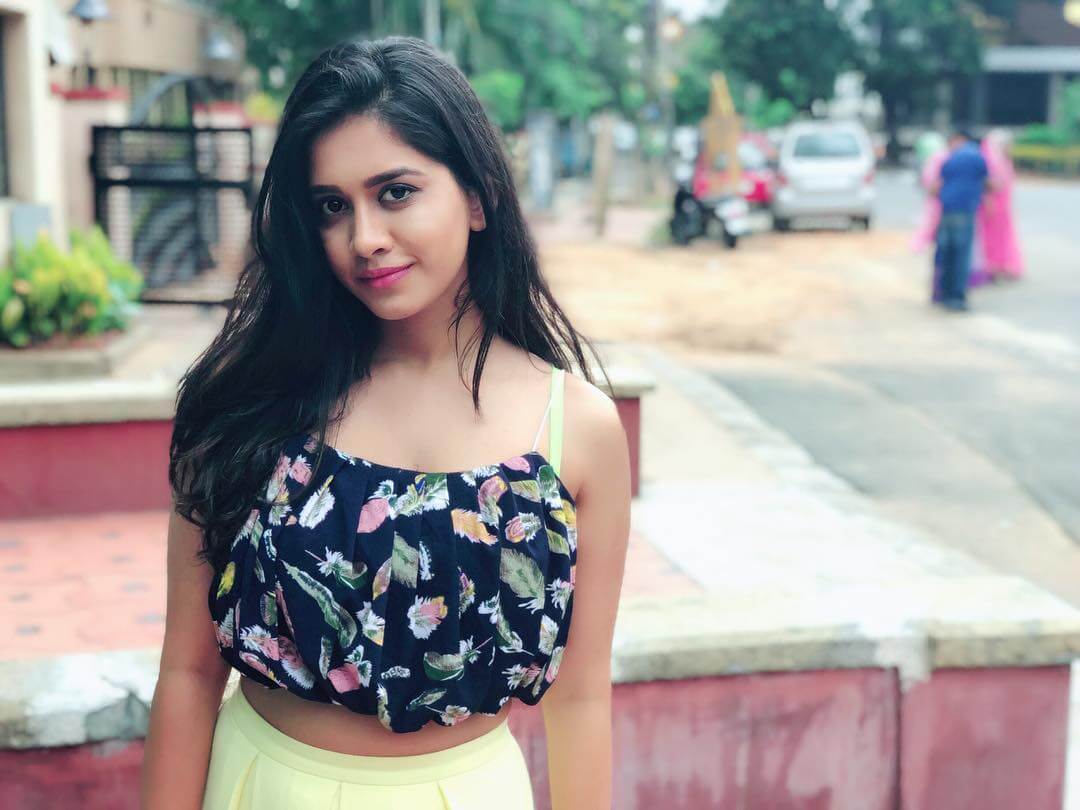 Nabha Natesh Image