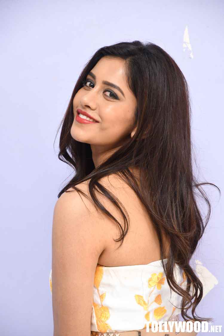 Nabha Natesh Latest Pics