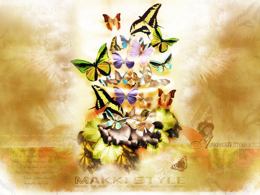 Download wallpaper: butterfly wallpaper, download photo, wallpaper