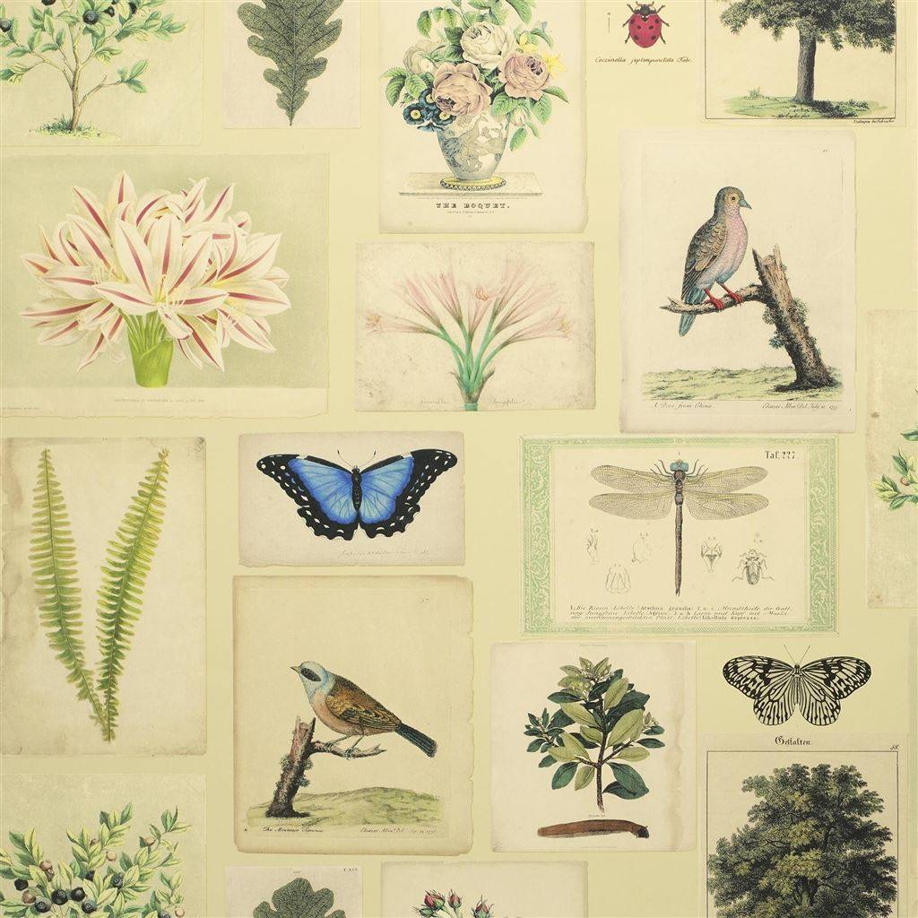 Flora and Fauna wallpaper. Picture Book Wallpaper