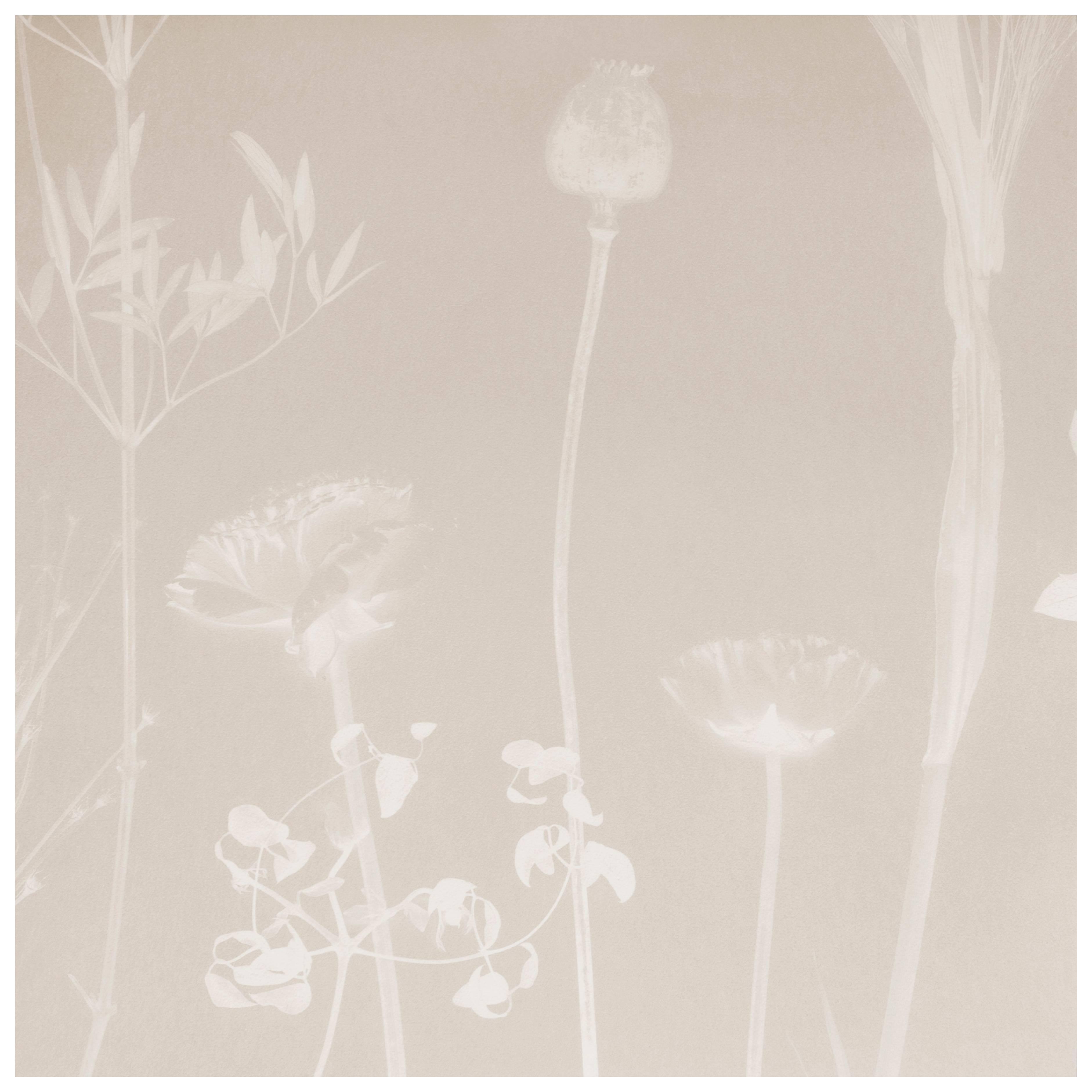 Flora Thistle Wallpaper or Wall Mural in Matte Cyanotype Taupe