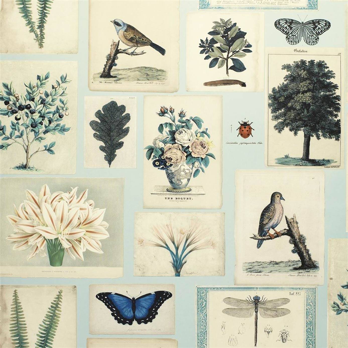 Flora And Fauna Wallpaper Blue (PJD6001 02) Derian