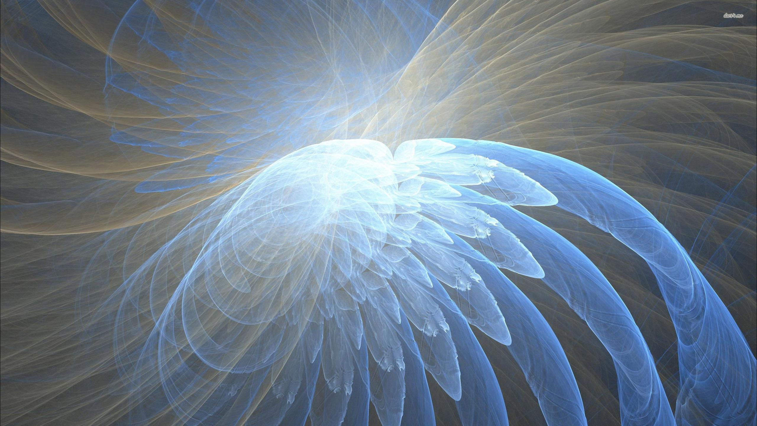 Angel wings wallpaper wallpaper