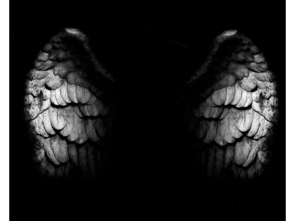 UMP Angel Wings Wallpaper