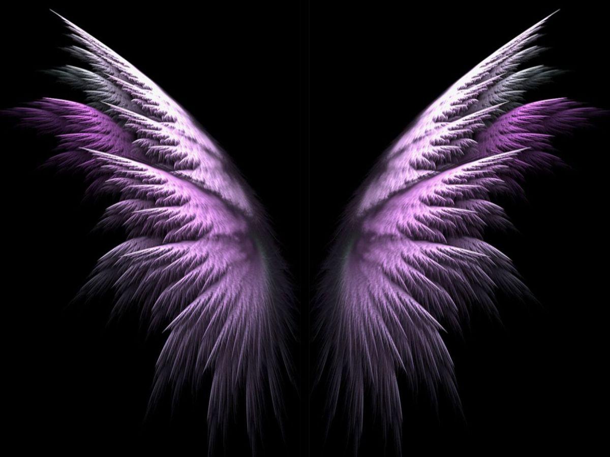 Free download Purple Angel Wings wallpaper ForWallpapercom [1200x900] for your Desktop, Mobile & Tablet. Explore Angel Wings Wallpaper. Angel Wallpaper Free, Beautiful Angels Wallpaper, Free Wallpaper Angel Wings