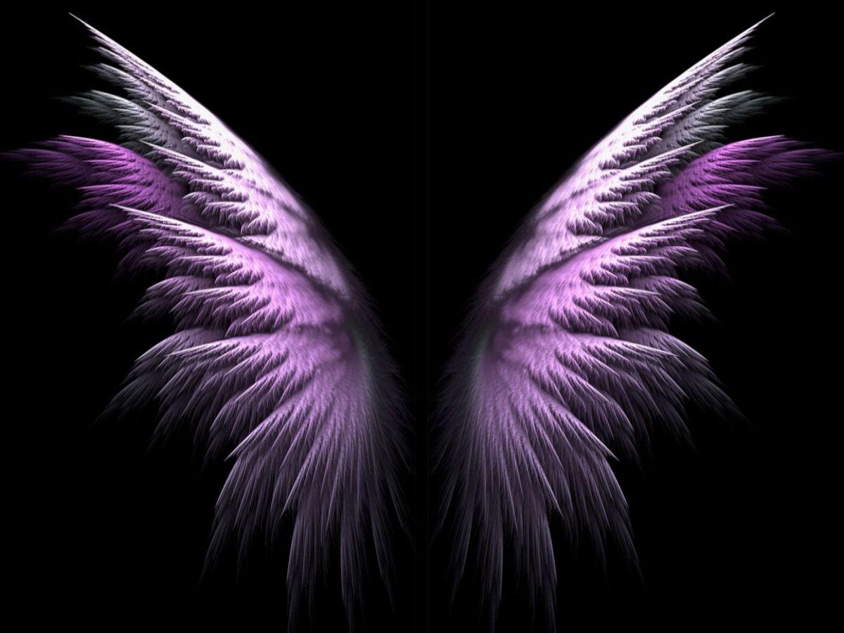 Neon Wings Wallpapers - Wallpaper Cave